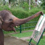 O Melhor Banco de Dados: Postgres?