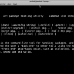 Curso Linux Ubuntu Online – APT Gerenciando pacotes (softwares) no Ubuntu