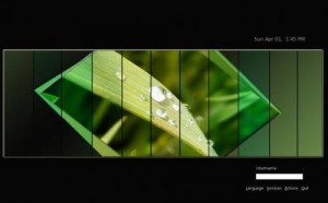 leaf leaf