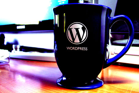 wordpress esconder conteudo wordpress 6 Formas de esconder conteúdo dos mecanismos de busca no Wordpress, com um pouco de SEO