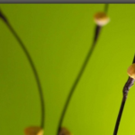 windows7-cara-do-ubuntu7.png